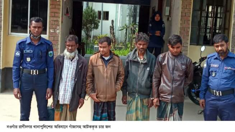 রাণীনগরে গাঁজাসহ চারজন আটক