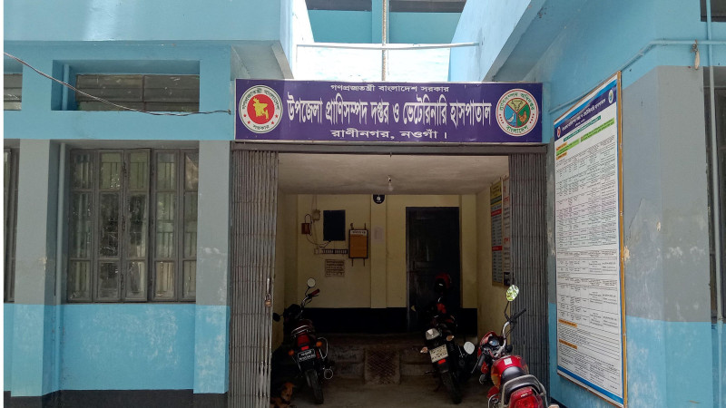 রাণীনগর প্রাণিসম্পদ দপ্তর ও হাসপাতালে সেবা ব্যহত,৬টি পদই ফাঁকা