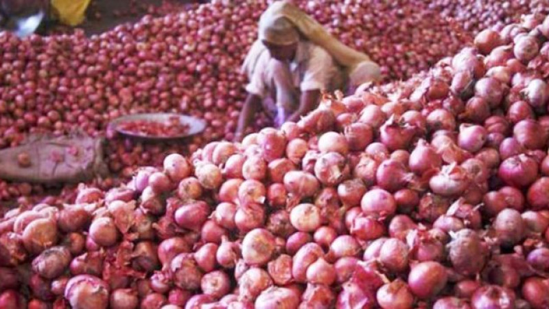 ক্রেতাশূন্য বাজারে পেঁয়াজের দরপতন