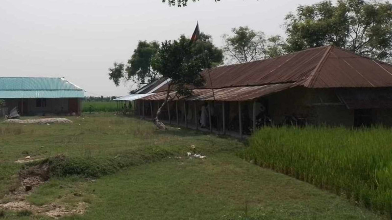 নওগাঁয় ভুয়া এমপিওভুক্তি' করা প্রধান শিক্ষকের তদন্ত শুরু