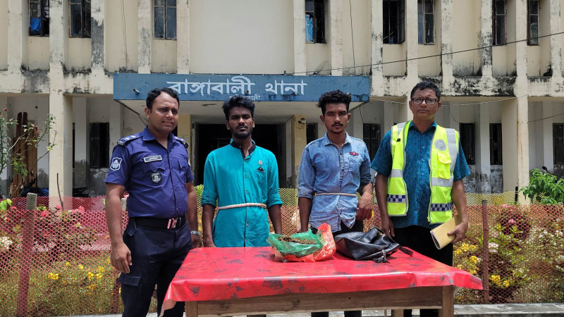 রাঙ্গাবালীতে আধা কেজি গাঁজা ও একটি গাঁজা গাছ উদ্ধার, গ্রেফতার ৩