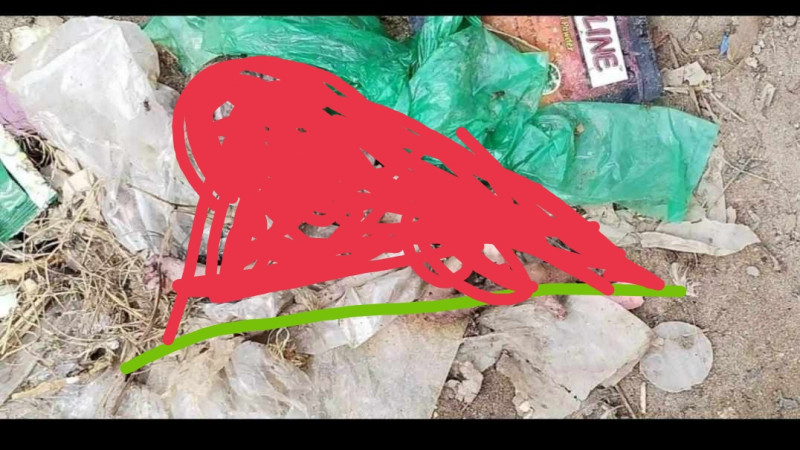 নওগাঁয় ডাস্টবিন থেকে ৫-৭ মাস বয়সি মানব ভ্রুণ উদ্ধার