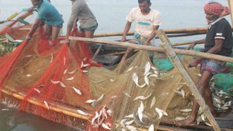 ইলিশ ধরা শুরু