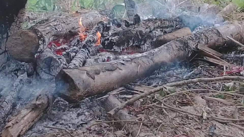 রাঙ্গামাটির নানিয়ারচরে স্বামী-স্ত্রীর রহস্যজনক মৃত্যু