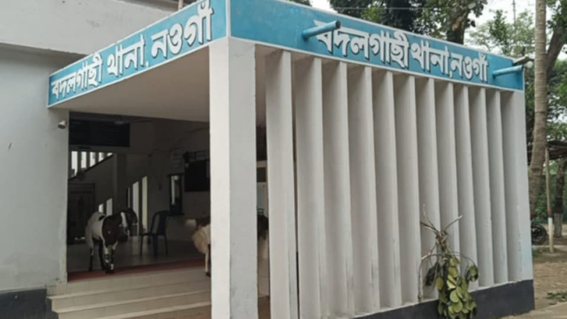 নওগাঁয় ককটেল বিস্ফোরণ ঘটনায় মামলা, আটক ৩ জন