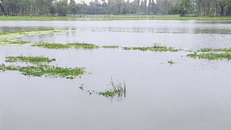পাহাড়ি ঢল ও ভারী বৃষ্টিতে বাড়ছে নদ নদীর পানি