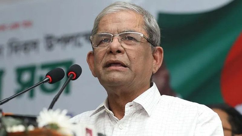 সরকারকে সময় দিতে হবে, বললেন মির্জা ফখরুল