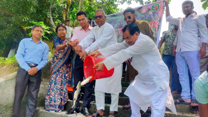 নওগাঁয় ৮টি জলাশয়ে অবমুক্ত করা হলো পোনা মাছ