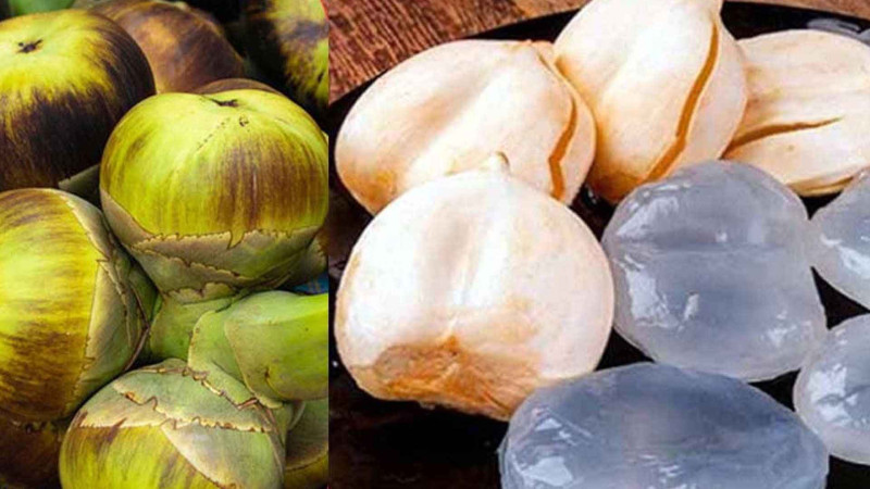 ডায়াবেটিস নিয়ন্ত্রণে খেতে পারেন তালের শাঁস