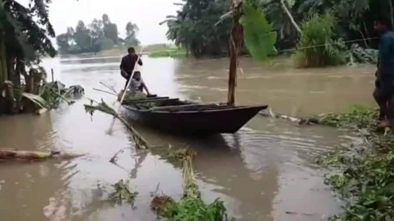 লালমনিরহাটে তিস্তার পানি বৃদ্ধি, চরাঞ্চল প্লাবিত