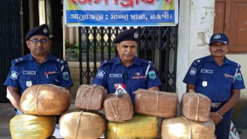 নওগাঁর মান্দা থানা পুলিশের অভিযানে ৪৮ কেজি গাঁজাসহ দুই জন আটক