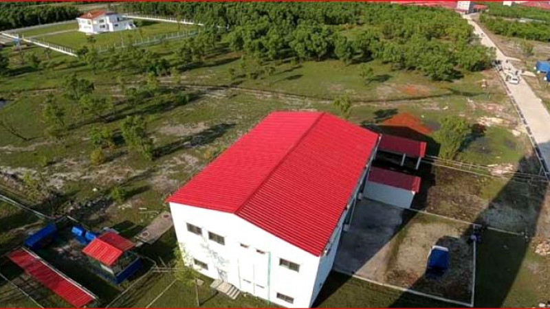 রোহিঙ্গাদের স্থানান্তরে জাতিসংঘের সহায়তা চান প্রধানমন্ত্রী