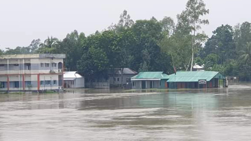 বাড়ছে যমুনার পানি, নদী তীরবর্তী নিম্নাঞ্চল প্লাবিত