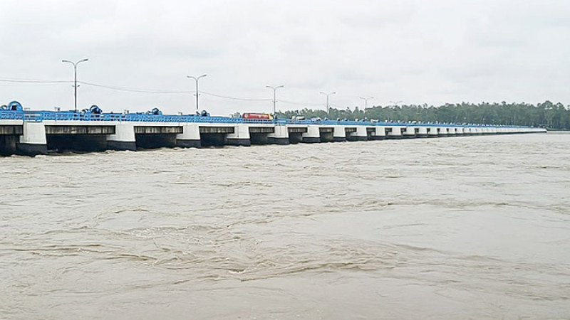 টানা বর্ষণে হু হু করে বাড়ছে তিস্তার পানি