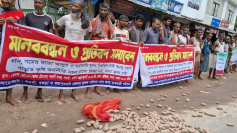 আলুর ন্যায্য মূল্যের দাবিতে নওগাঁয় কৃষকদের মানববন্ধন