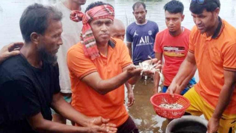 চেয়ারম্যানের 'ব্যাক্তি উদ্যোগে' অবমুক্ত করাহলো ৬ মন মাছের পোনা