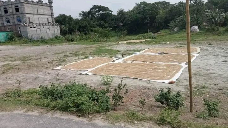 হারিয়ে যাচ্ছে ঐতিহ্যবাহী খেলার মাঠ,নেশায় জড়িয়ে যাচ্ছে যুব সমাজ