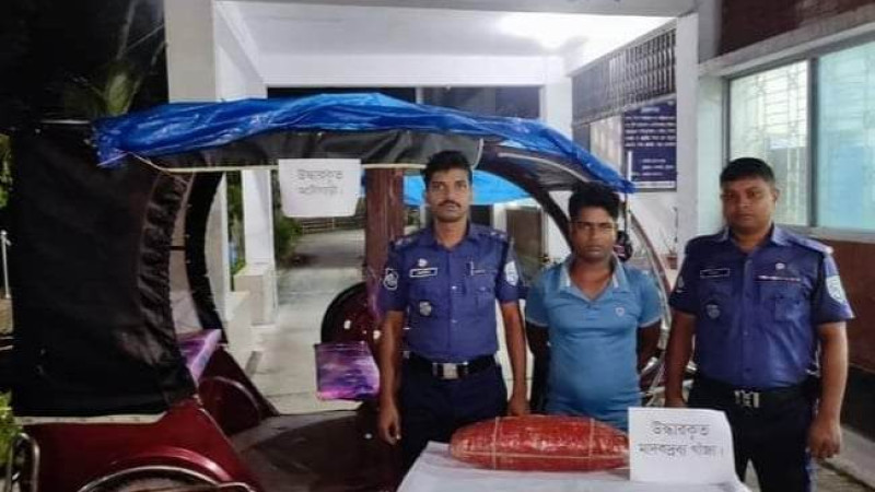 ফুলবাড়িতে ৯ কেজি গাঁজা সহ-২ মাদক কারবারি আটক