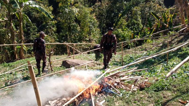 থানচিতে ফের পপি ক্ষেত ধ্বংস করলো ৩৮ বিজিবি