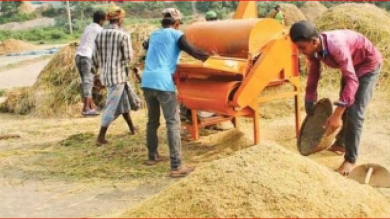 ঝুঁকির মুখে বিশ্ব খাদ্য নিরাপত্তা