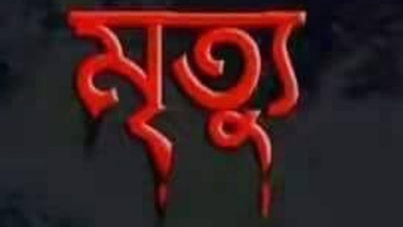 পঞ্চগড়ের আটোয়ারীতে বাবার শরীরের চাপায় শিশু সন্তানের মৃত্যু