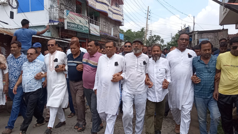 রাজবাড়ীর পাংশায় রাজপথে আওয়ামীলীগ