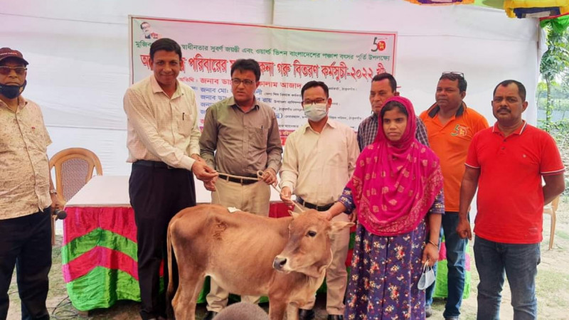 ঠাকুরগাঁওয়ে অতি দরিদ্র পরিবারের মাঝে বিনামূল্যে গরু প্রদান