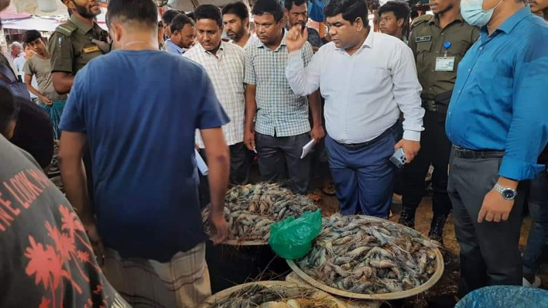 নোয়াখালীতে চিংড়িতে জেলি: দুই মাছ ব্যবসায়ীকে কারাদন্ড