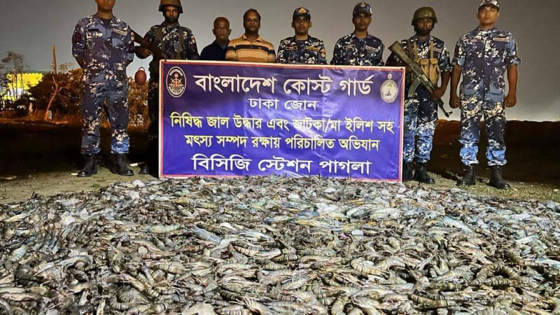 ৮ হাজার ২০০ কেজি বিষাক্ত জেলী পুশকৃত চিংড়ি ও ১ হাজার ৬০০ কেজি জাটকা জব্দ