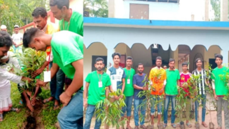 নওগাঁয় স্বেচ্ছাসেবীদের উদ্যোগে বৃক্ষ রোপণ কর্মসূচি পালিত
