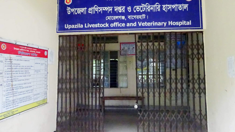 মোরেলগঞ্জে ভ্যাকসিন সংকটে প্রাণিসম্পদ অফিস