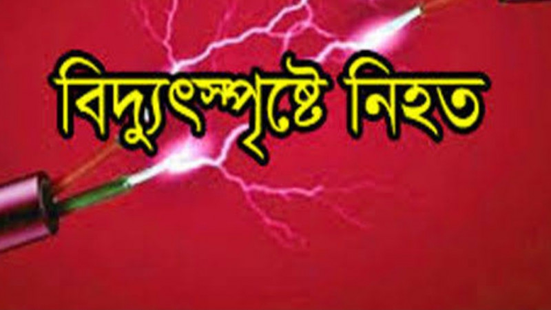 মোরেলগঞ্জে বিদ্যুৎস্পৃষ্টে প্রাণ গেলো কৃষকের