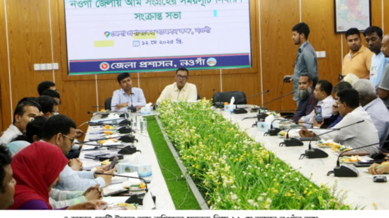 নওগাঁয় ৩০হাজার ৩শ' হেক্টর জমিতে আম চাষ, ২২মে থেকে আমপাড়া শুরু