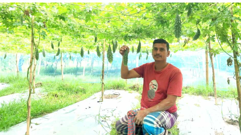 মানিকগঞ্জে সবজি চাষে প্লাস্টিক মালচিং পেপার, স্বপ্ন বুনছেন চাষি