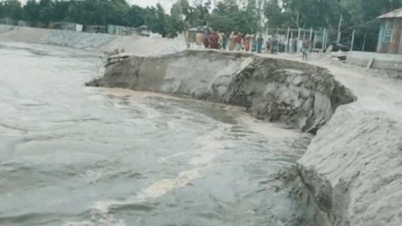 পাহাড়ি ঢলে ভাঙছে যমুনার তীর