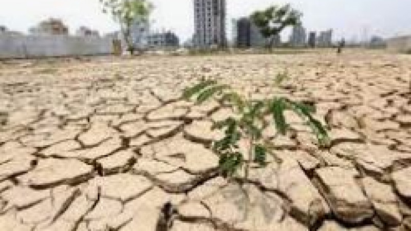 তাপে পুড়ছে রাজধানী