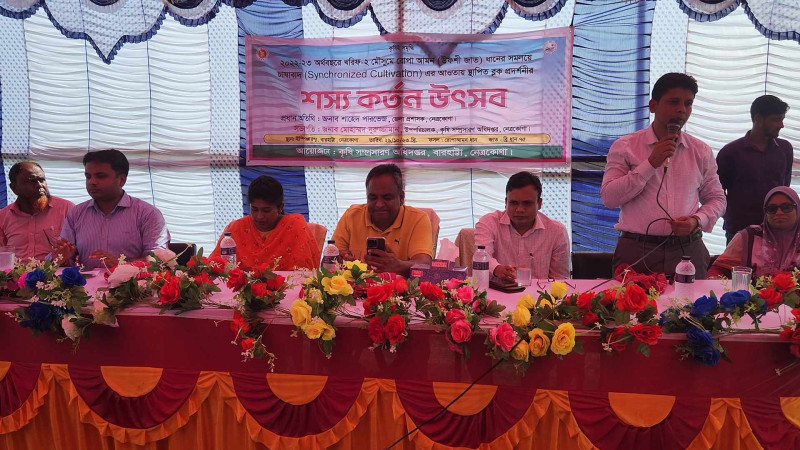 নেত্রকোনায় সমলয় পদ্ধতিতে আবাদকৃত জমিতে ধান কর্তন