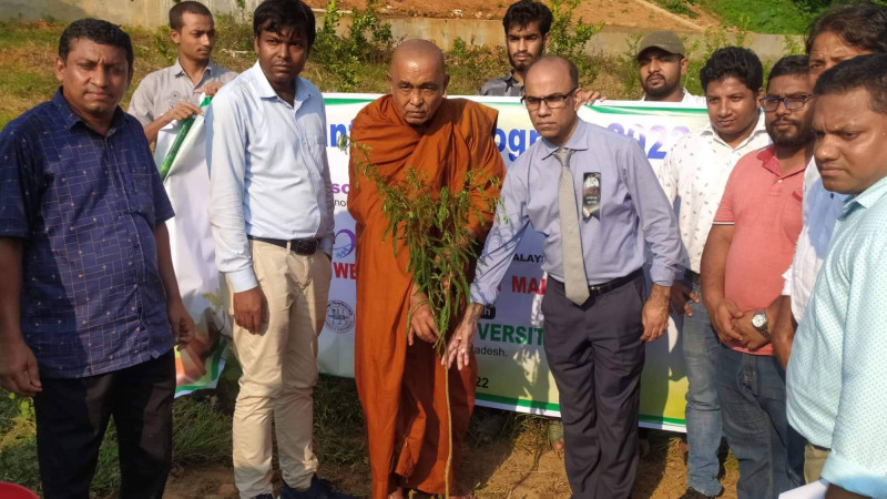 কুবিতে বৃক্ষ রোপণ কর্মসূচি উদ্বোধন
