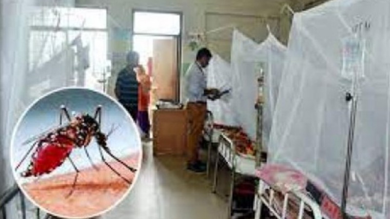 আরও ১৫ ডেঙ্গু রোগী ভর্তি