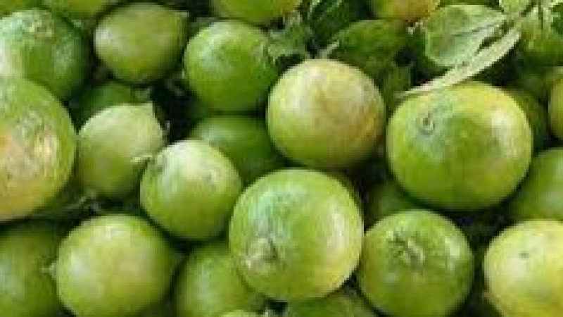 হাত বদলে বাড়ে লেবুর দাম